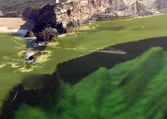 “Onda da Nazaré, como se forma” atinge 1 milhão de visualizações