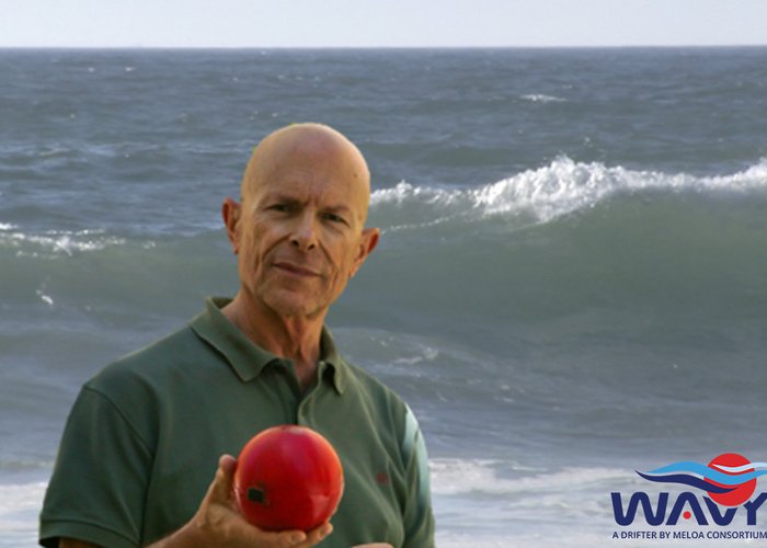 Primeiro artigo do Projeto MELOA