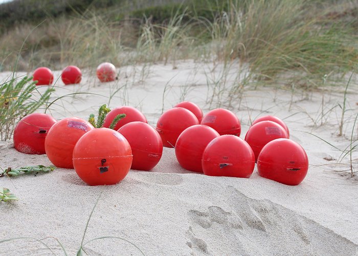 Instituto Hidrográfico realiza Exercício Virtual “Oil Spill”