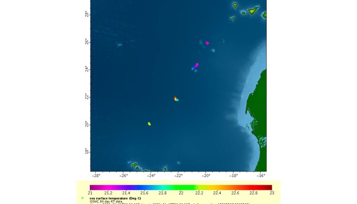 NOAA Tem Mais 4 Boias Disponíveis
