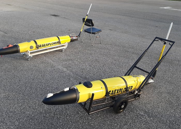 Gliders "Caldas" e "Leonor"