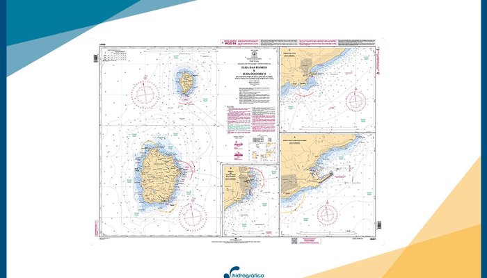 20240130-nova-carta-corvo-flores