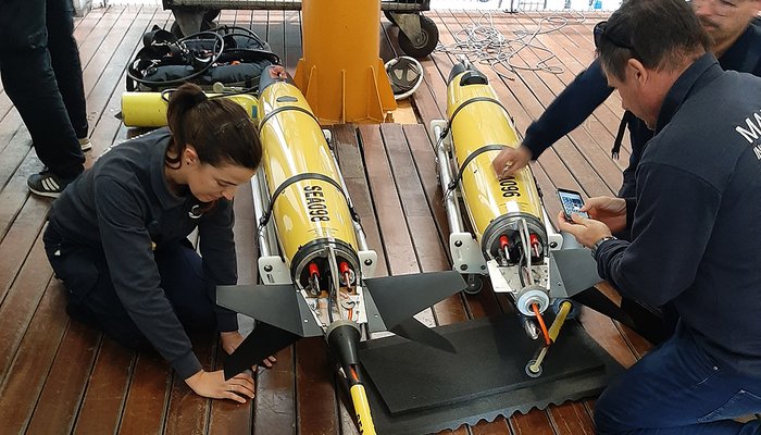 Feliz dia de S. Valentim