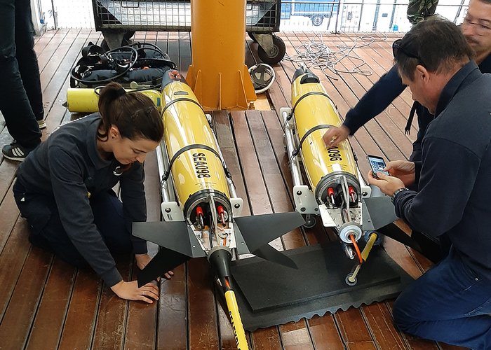 Feliz dia de S. Valentim