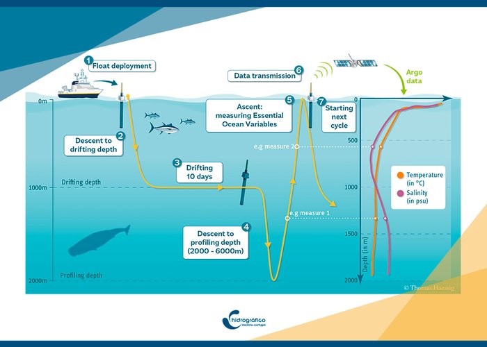 Instituto Hidrográfico colabora com Agência Federal Marítima e Hidrográfica da Alemanha