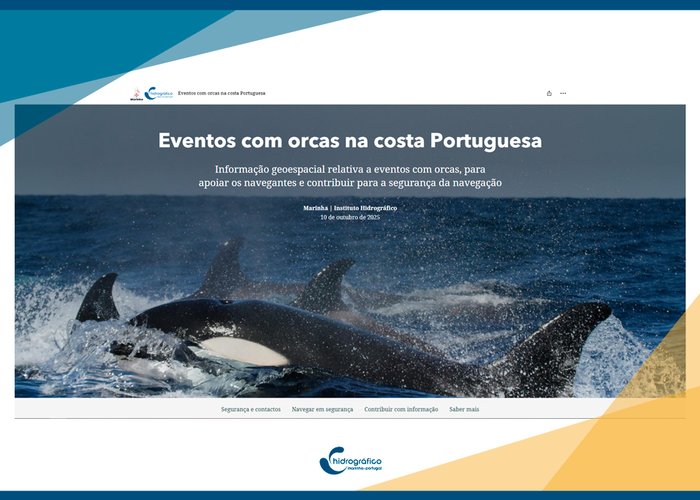 Eventos com orcas na costa portuguesa