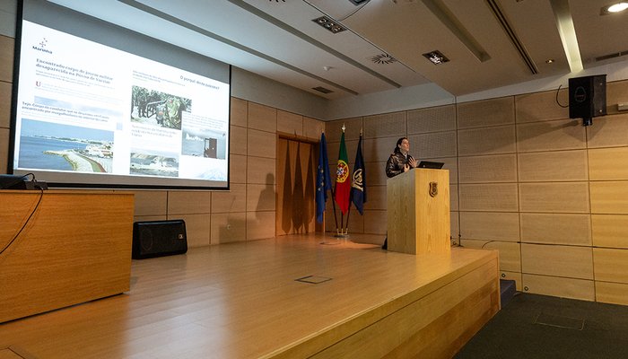 2025_002032_N_PORTAIS