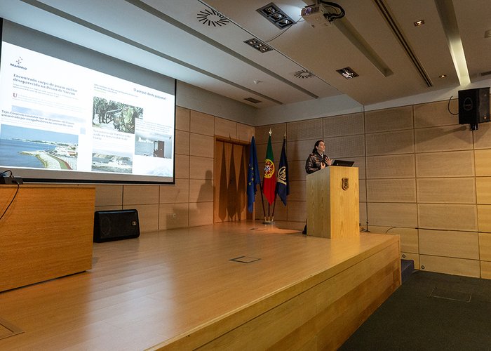 2025_002032_N_PORTAIS