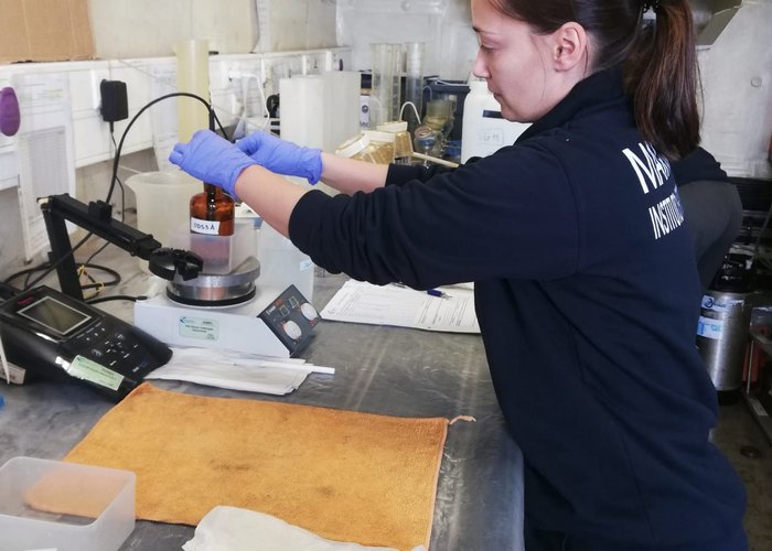 Análises - Laboratório de Campo 2