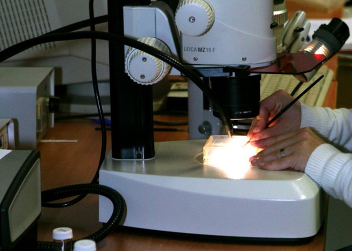 Análise composicional de sedimentos com lupa binocular