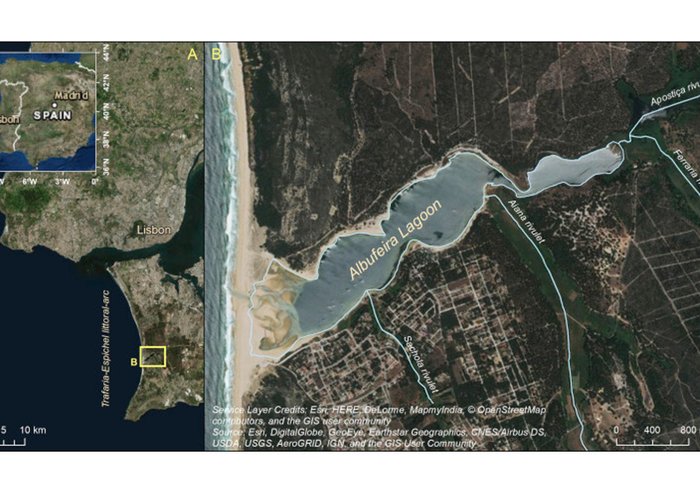 Artigo publicado em revista internacional