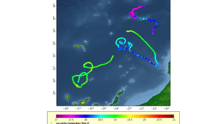 As três primeiras boias lançadas