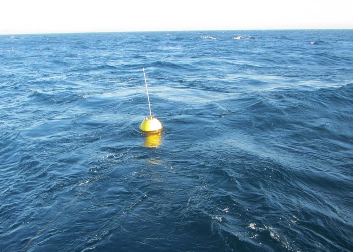 Boia ondógrafo de Sines volta a estar operacional