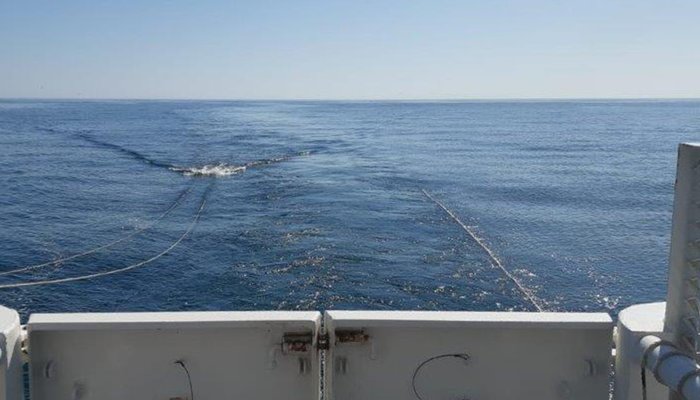 Campanha SEDMAR no Algarve