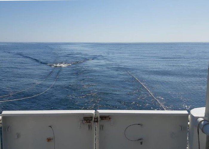 Campanha SEDMAR no Algarve