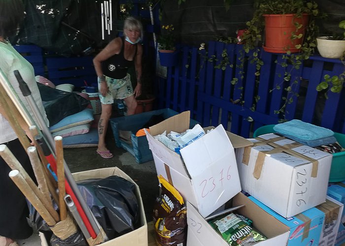 Campanha de Recolha de Bens de Primeira Necessidade para Cães e Gatos