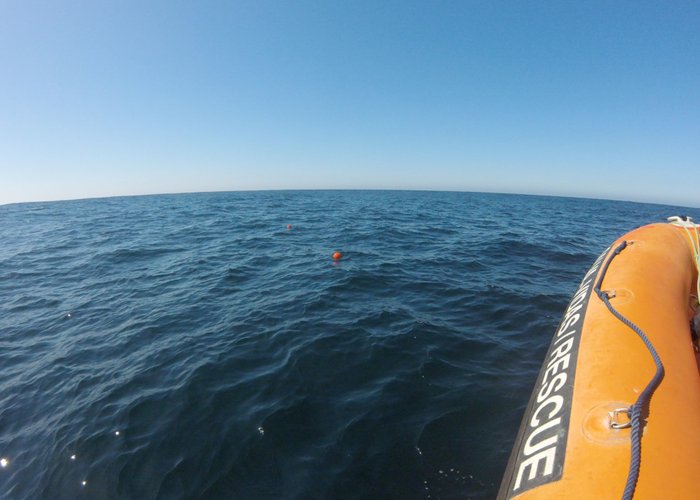 Campanha do Projeto Meloa em Sines