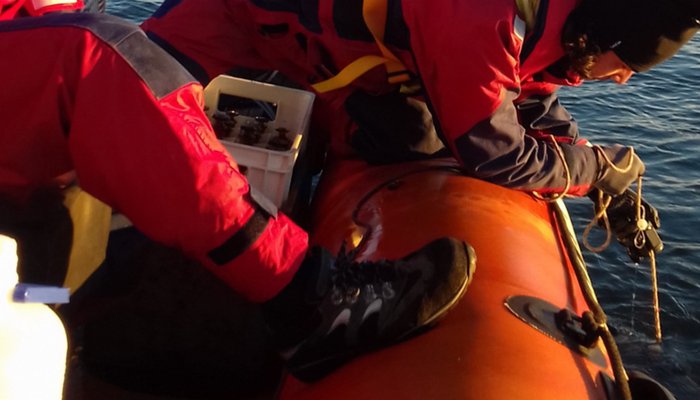 Campanhas de monitorização - Projeto AQUIMAR