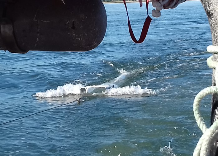 Colheita Água para Microplásticos - Arrasto Horizontal