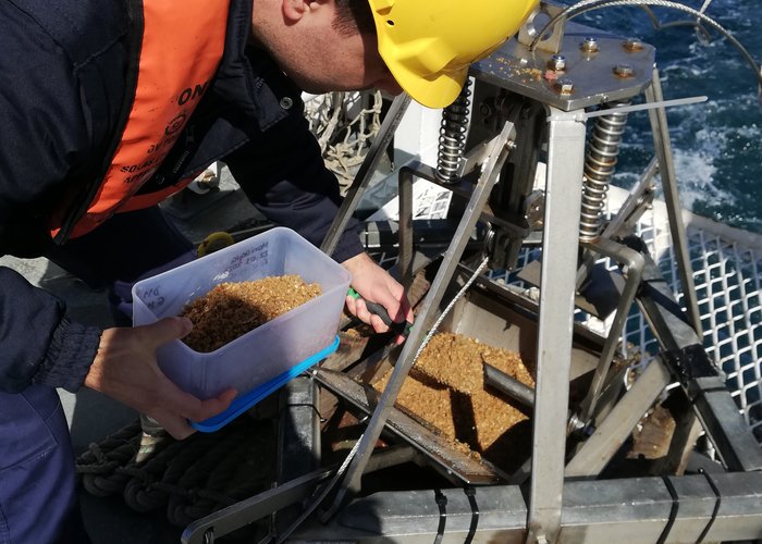 Colheita Sedimentos Superficiais 1