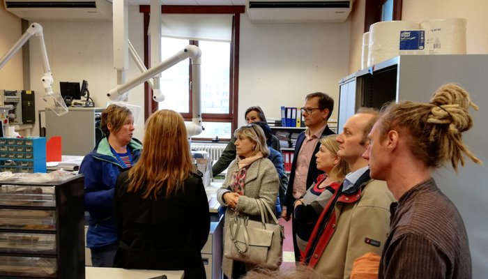 Divisão de Química e Poluição do Meio Marinho participa em ensaio de aptidão