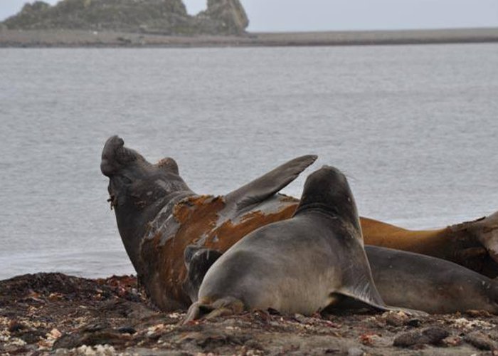 Campanha Galileo 2018 - 3º. comunicado