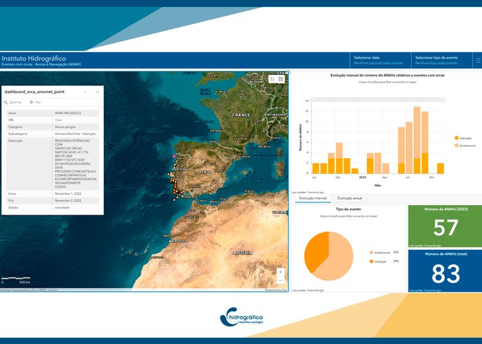 Eventos com orcas na costa Portuguesa