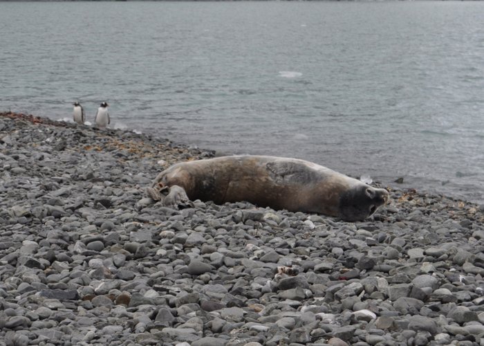 Campanha Galileu 2018 - 2º comunicado