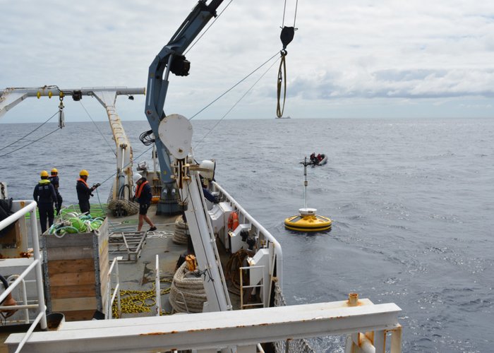 Fundeada nova boia multiparamétrica ao largo de Sines