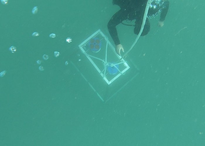 Fundeamento de Perfilador de Corrente