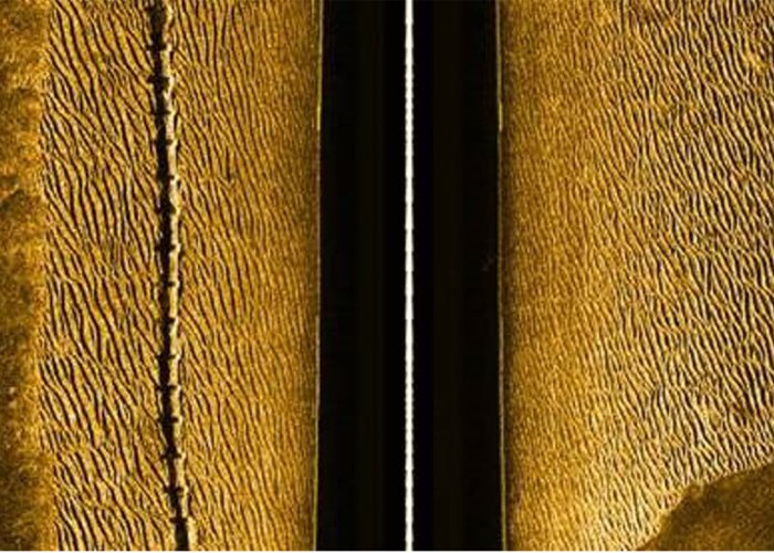 Side-scan sonar image - Pipeline with sedimentary structures