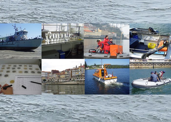 O estudo dos fluxos sedimentares dos rios