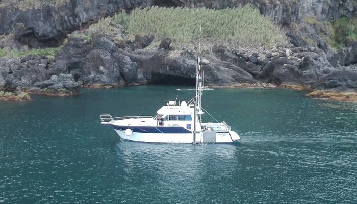 LTH Na Ilha das Flores e Corvo