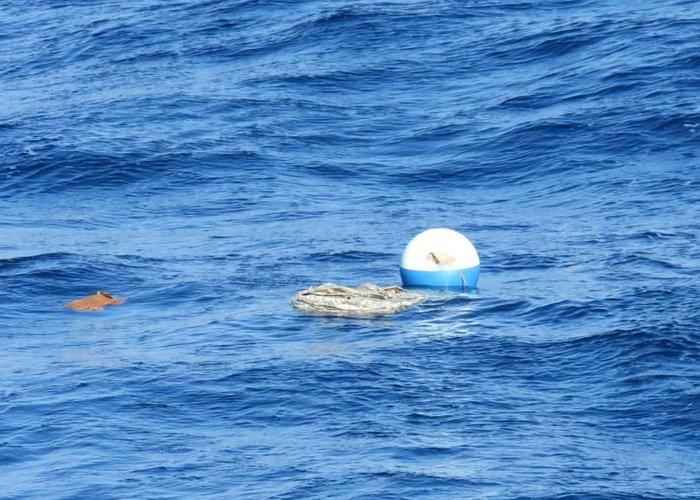 Projeto científico entre o Instituto Hidrográfico, o NRP Sagres e a NOAA