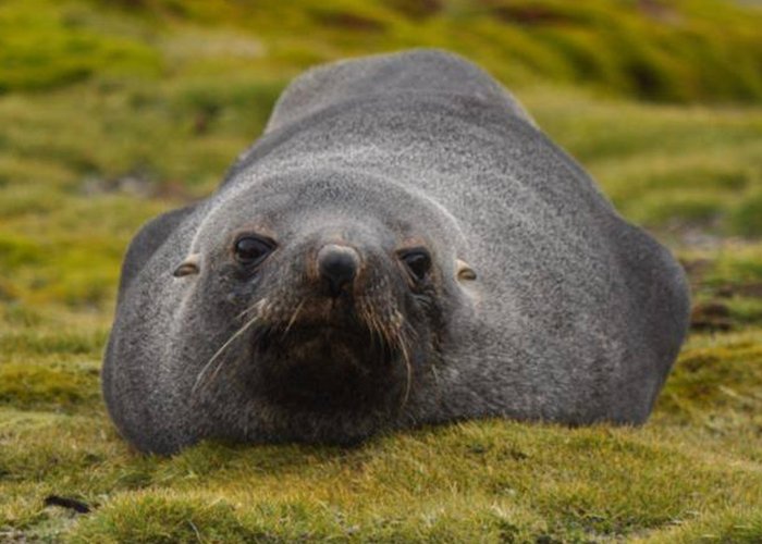 Campanha Galileo 2018 - 3º. comunicado