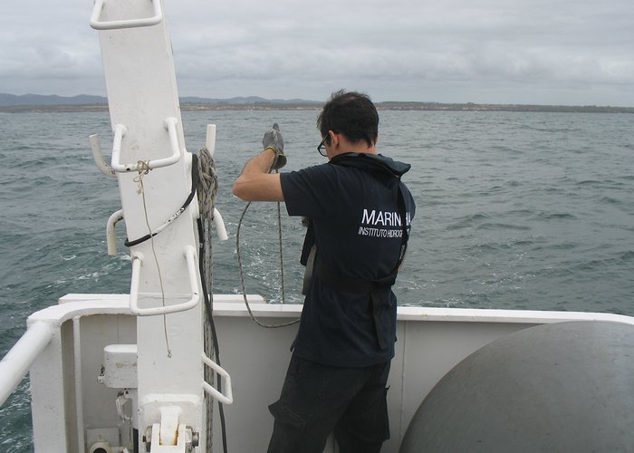 Instituto Hidrográfico realiza campanha de monitorização no âmbito do projeto MONIAQUA