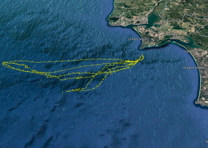 Recuperação do Glider da Plataforma Oceânica das Ilhas Canárias
