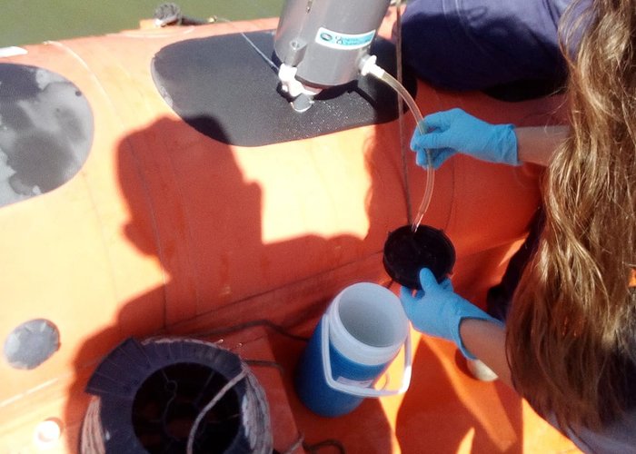 Projeto AQUIMAR Estuários