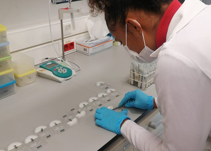 POGO financia estágio de aluna cabo-verdiana no IH