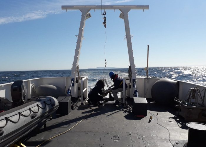 Projeto AQUIMAR inicia mais uma campanha