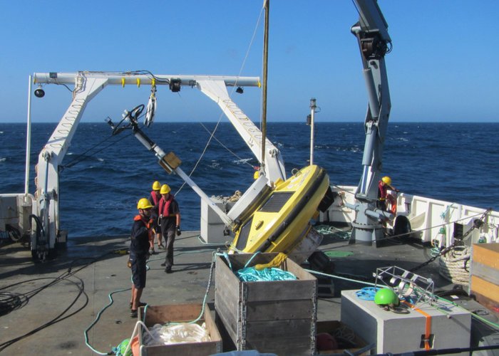 Recuperada a boia Nazaré Oceânica
