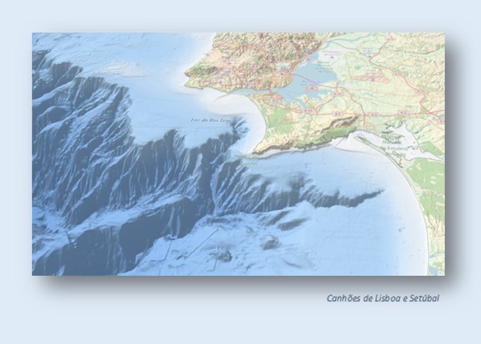 Rede Europeia de Observação e Dados Marinhos