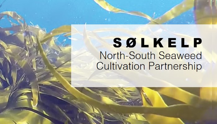 SOLKELP4