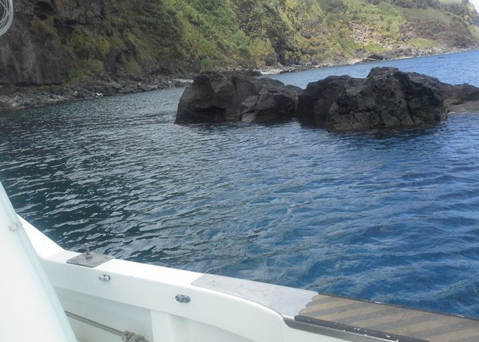 LTH Na Ilha das Flores e Corvo