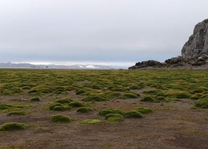 Campanha Galileo 2018 - 3º. comunicado