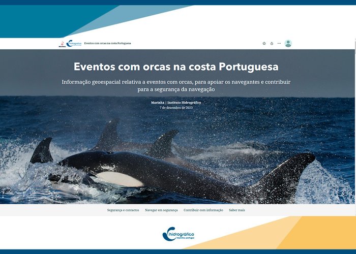 Eventos com orcas na costa Portuguesa