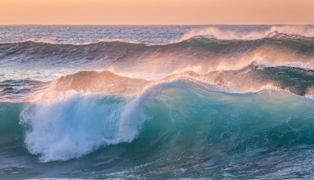 photoholgic-xvaWIYCqJe4-unsplash