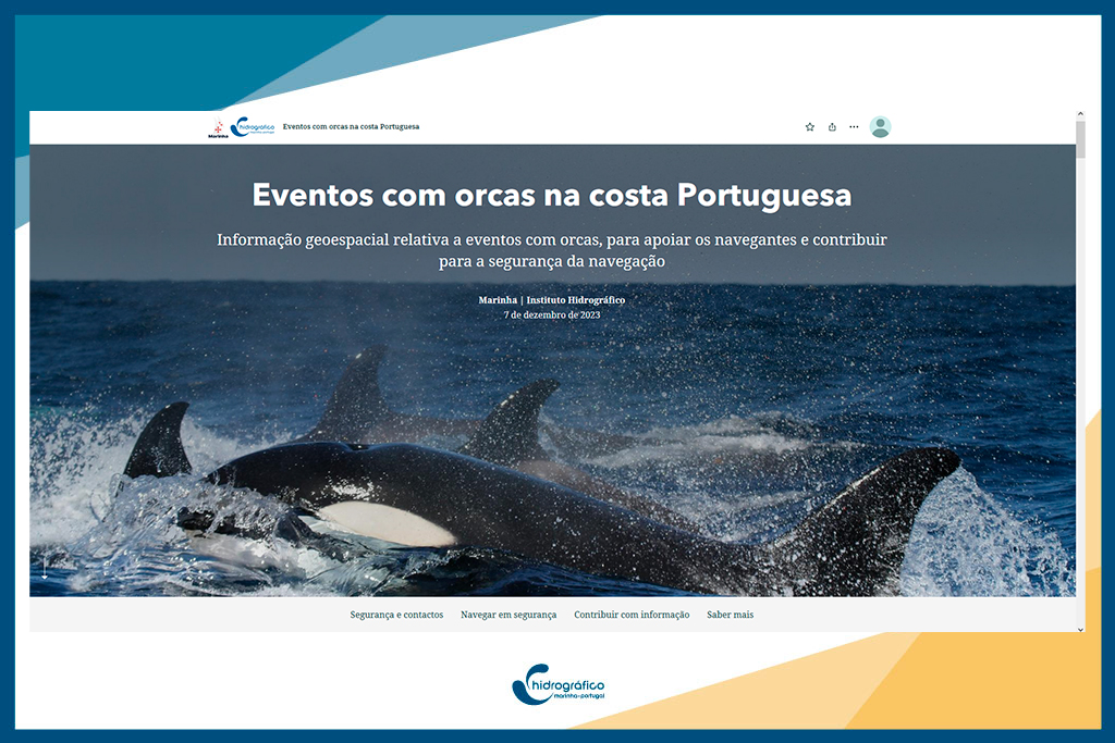 Eventos com orcas na costa Portuguesa